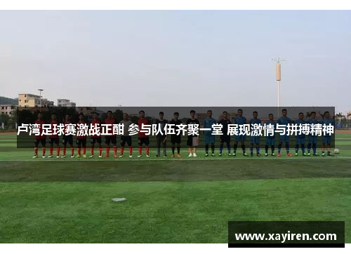 卢湾足球赛激战正酣 参与队伍齐聚一堂 展现激情与拼搏精神