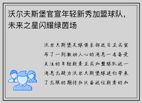 沃尔夫斯堡官宣年轻新秀加盟球队，未来之星闪耀绿茵场